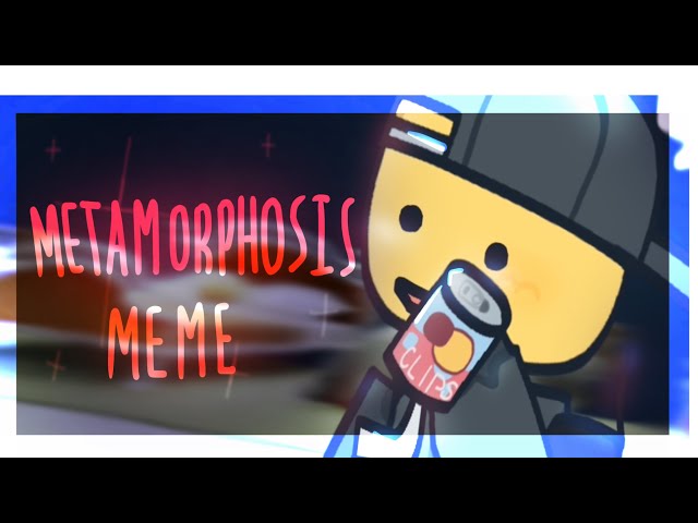 Metamorphosis meme (roblox animation meme) Roblox EVADE