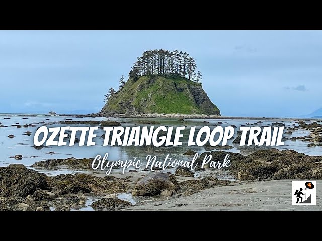 Backpacking the Ozette Triangle Loop Trail | Olympic National Park
