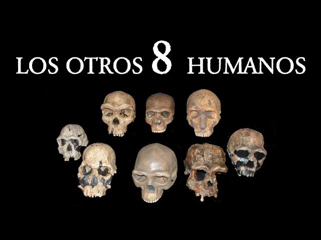 ¿Cuántas Especies de Humanos Existieron?