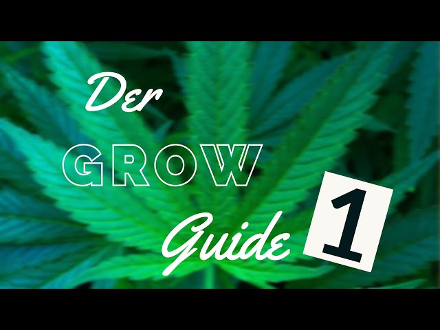 Indoor Growing Guide [01] - German
