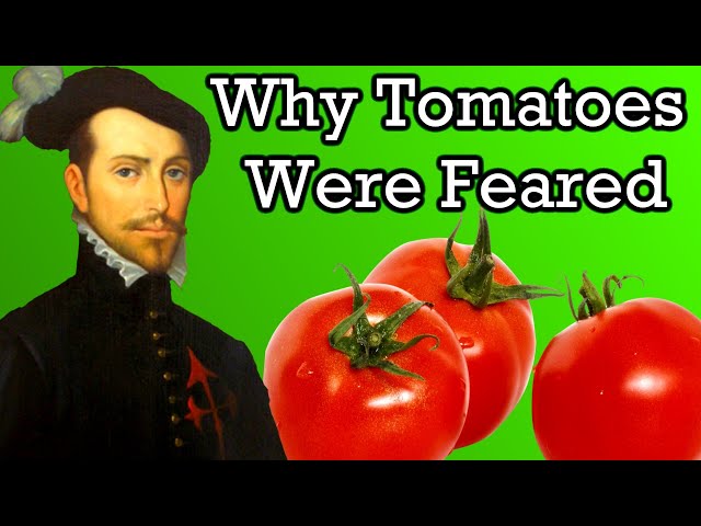 The Dangerous History of Tomatoes