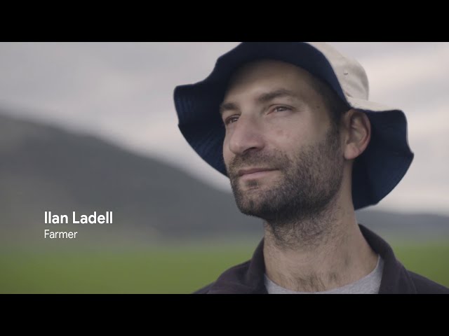 How Taranis helps farmers feed the planet with TensorFlow