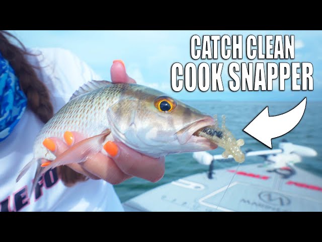Mangrove Snapper with Mango Salsa Fish Recipe - How To Catch Clean Cook