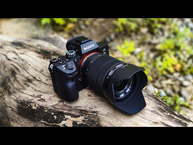 10 Full Frame Mirrorless Camera You Should Check Out!