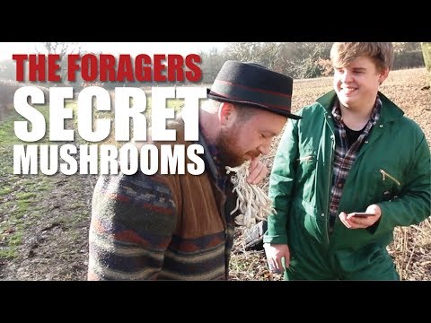 The Foragers: Secret Mushrooms