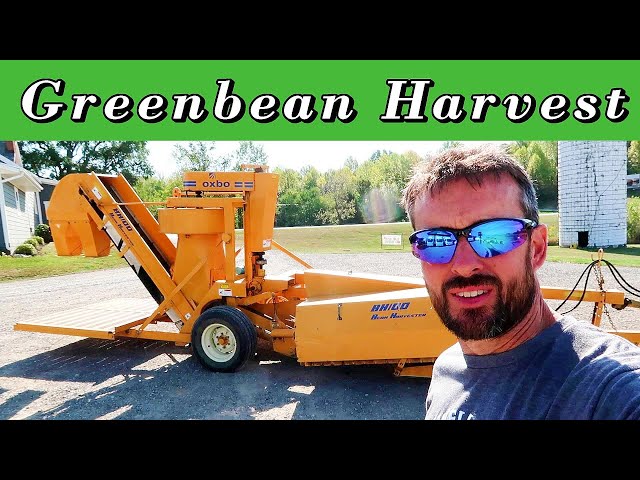 Harvesting Green Beans With an Oxbo BH100 One Row Picker – Vlog 18