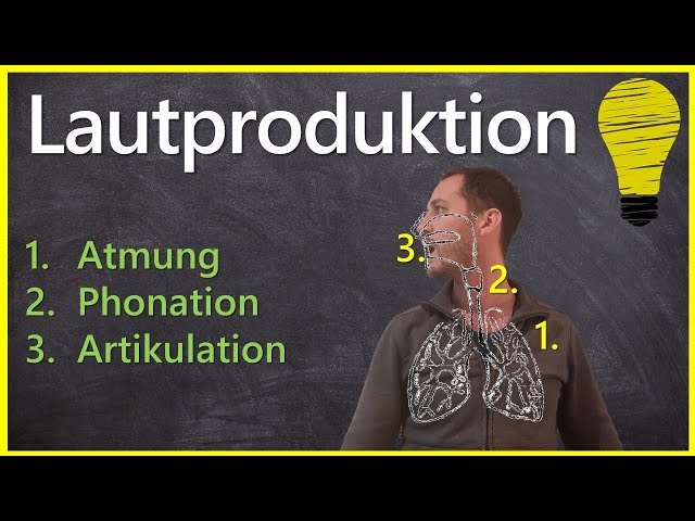 Lautproduktion - Atmung, Phonation und Artikulation