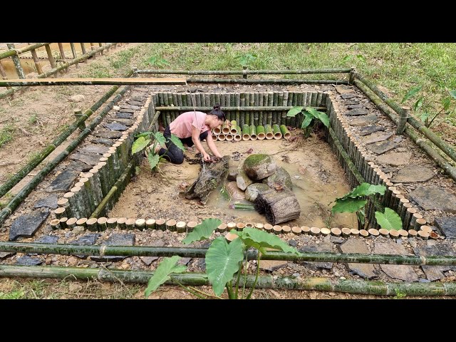 How to build bamboo house 2021 for crab, Dig, Garden, Bamboo fence - Ep.87