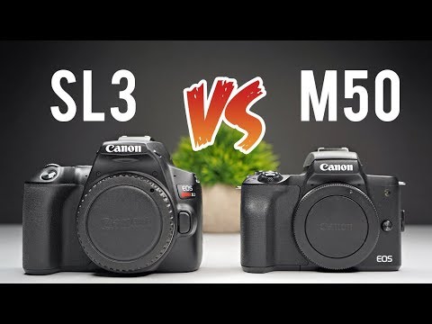 Canon SL3 (250d) vs M50 Ultimate Comparison