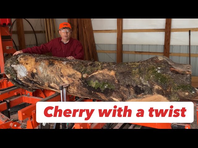 Sawing Black Cherry with Character