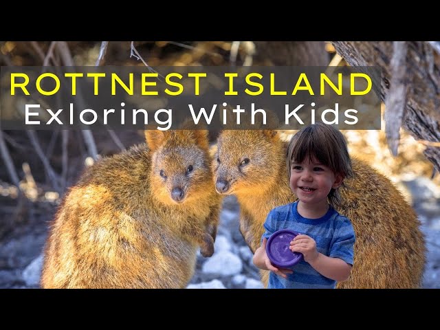 How to Explore Rottnest Island | Meet the Quokkas | Perth Western Australia