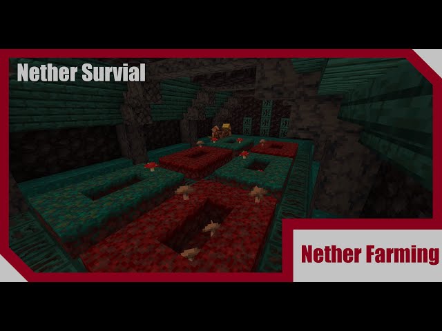 Minecraft Nether survival let's play ep.5 - Farming for mushrooms