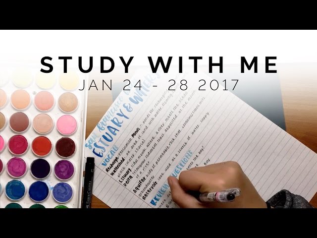 notetaking + studying, watercolor edition 🎨 study with me compilation