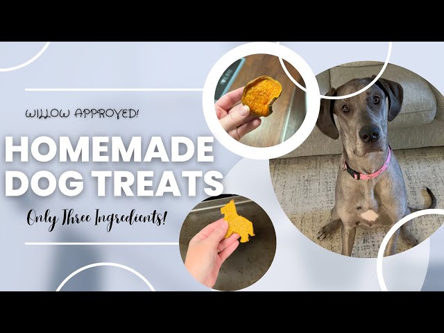 Homemade (With Love) Dog Treats | Three Ingredients | Safe For Dogs | Willow Approved