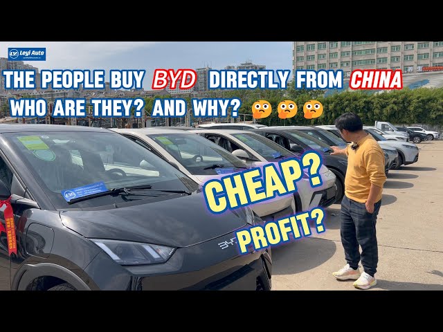 The People buy BYD directly from China, who are they ? And Why?#byd #automobile #carforsale #yuanup