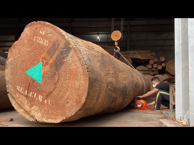 Sawmill Wood Skill - How Will You Process This Giant Tree World's Largest Wood Factory
