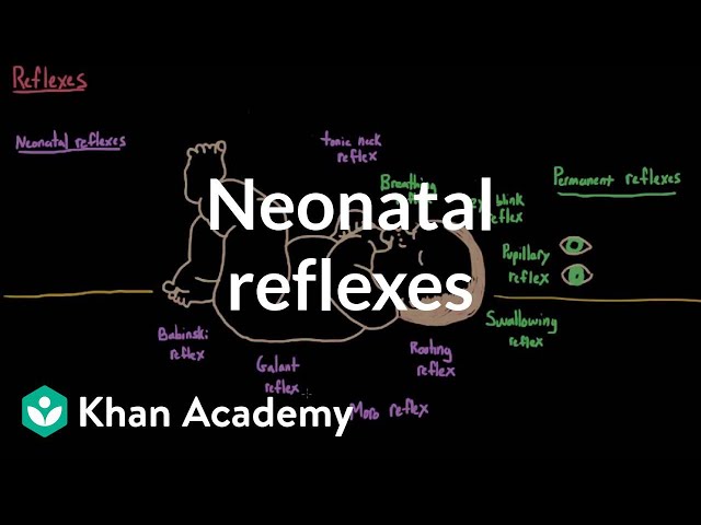 Neonatal reflexes | Behavior | MCAT | Khan Academy