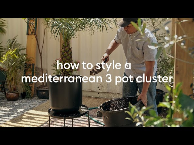 How to Style a Mediterranean 3 Pot Cluster
