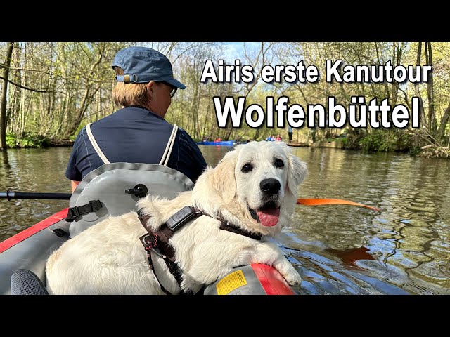 Erste Kanu-Tour mit jungem Hund - Auf der Oker rundum Wolfenbüttel