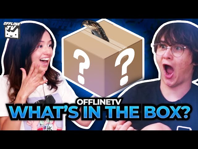 OFFLINETV WHATS IN THE BOX CHALLENGE
