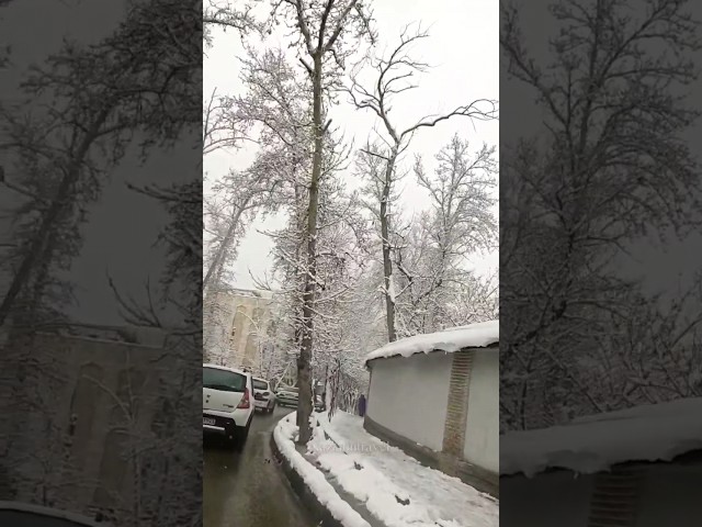 اولین برف در تهران