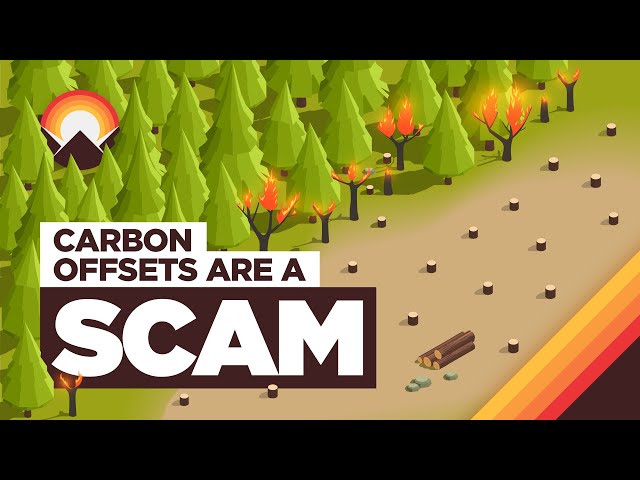 The Carbon Offset Problem