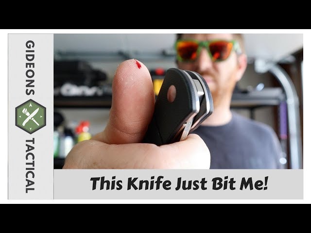 This Knife Just Bit Me! Kizer Velox 2 #5 Mailbag