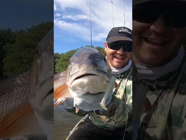 3 Magic Words To Catch Redfish Like This...