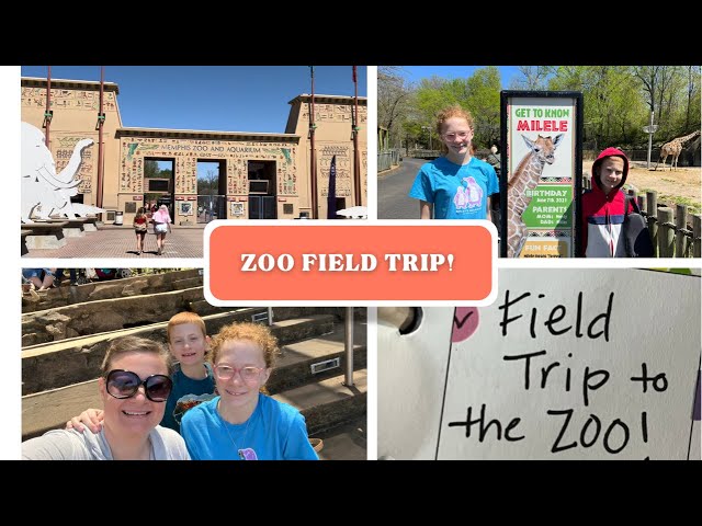 Homeschool Field Trip Day to the Memphis Zoo!