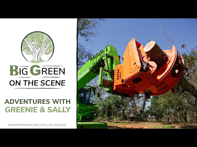 Big Green on the Scene: Tree Removal Adventures with Greenie & Sally