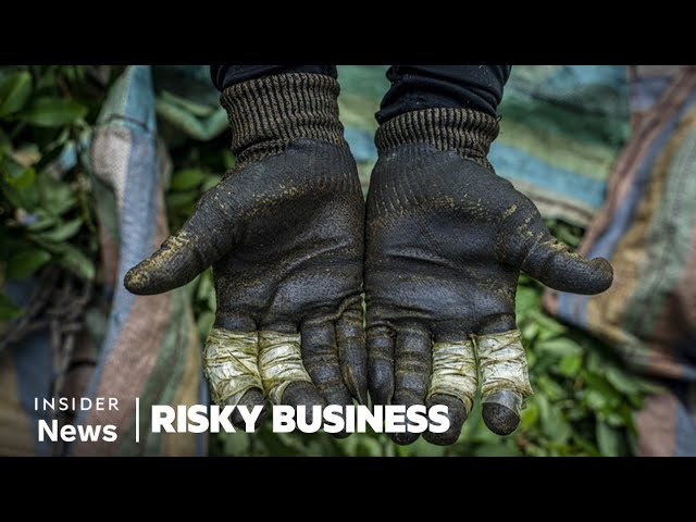 How Cocaine Is Made in Colombia With Bootleg Gasoline | Risky Business | Insider News