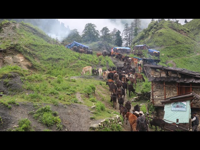 Discovering the Smiles and Happiness of Nepal Mountain Village Life || IamSuman