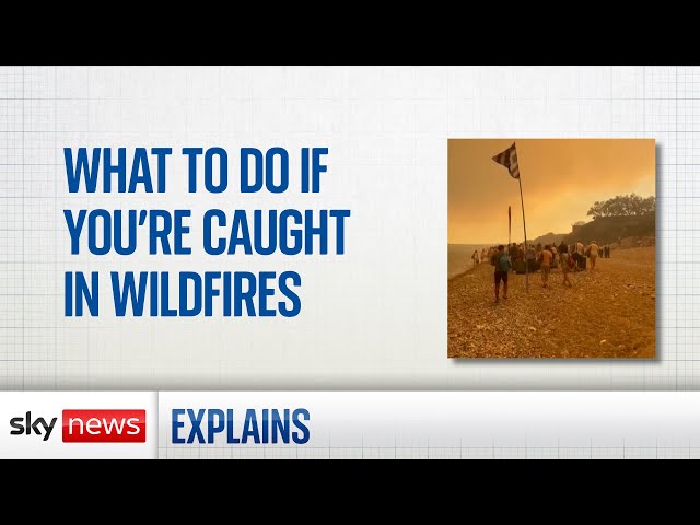 What to do if you're in an area threatened by wildfires