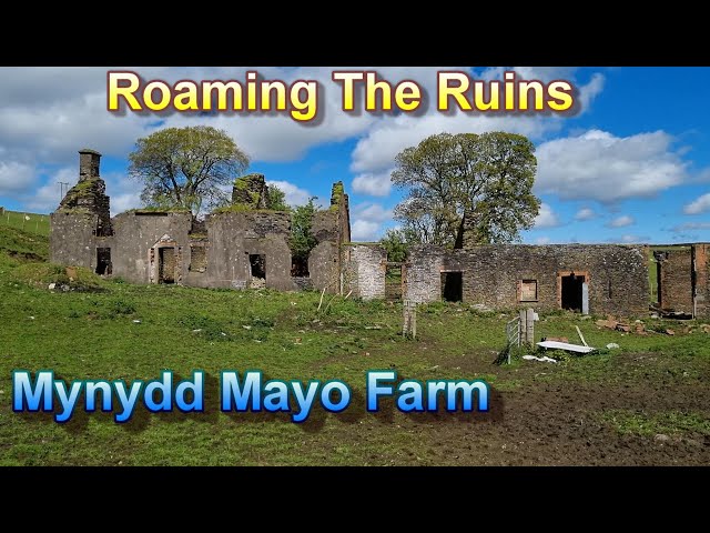 Roaming The Ruins - Mynydd Mayo Farm