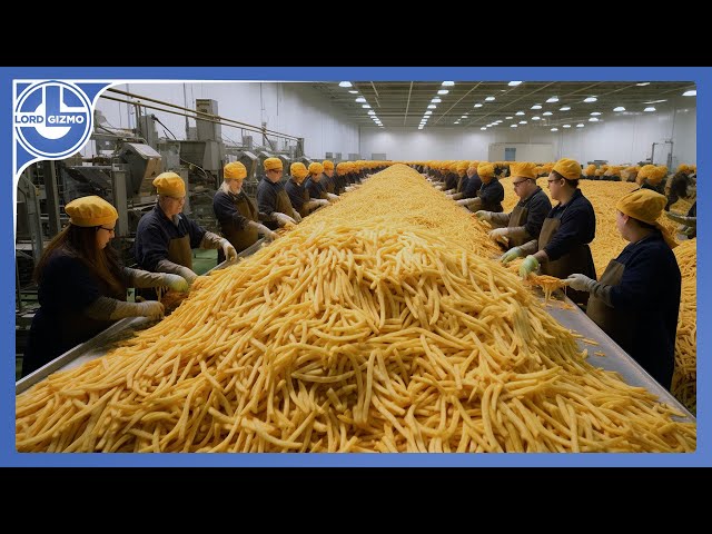 How Millions Of Tons Of French Fries Are Made From Harvesting Delicious Potatoes