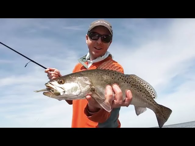 Flats Fishing For FAT Springtime Trout [Exploration Trip To Hudson, FL]