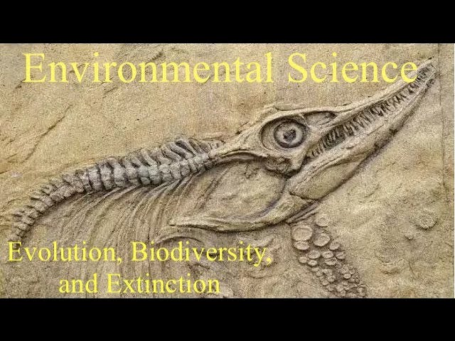 Environmental Science 4 (Evolution, Biodiversity, and Extinction)