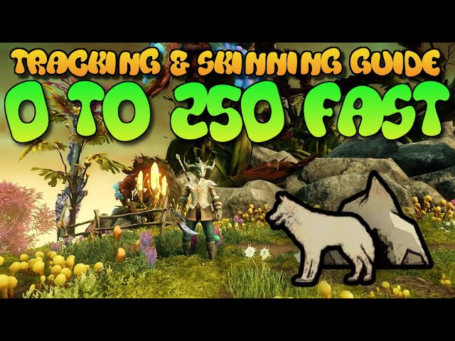 New World Tracking & Skinning Guide 2023 0 to 250 FAST