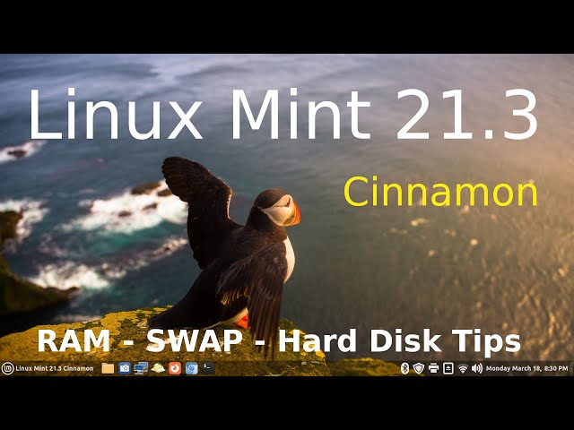 Linux Mint 21.3 - Cinnamon - RAM - swap - Hard Drive Usage Tips.