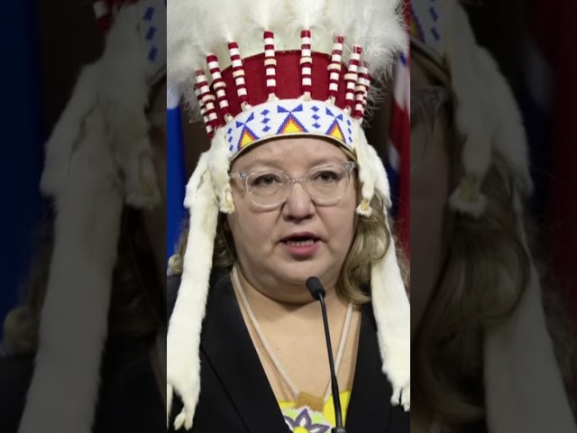Air Canada apologizes after removing AFN chief's headdress from cabin