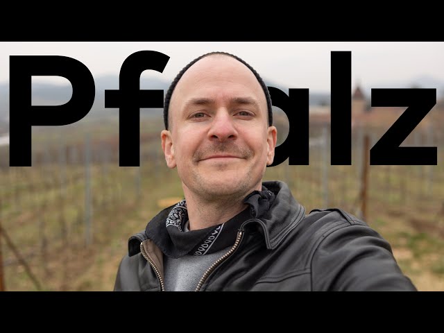 ON THE ROAD - Master of Wine does Pfalz DEEP DIVE and Tasting