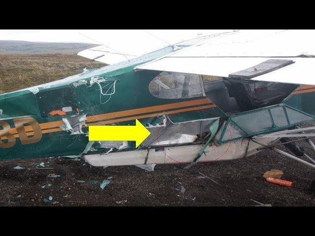 You Know You’re In Trouble When A Bear Shreds Your Plane, But How This Pilot Fixes It Wow   !