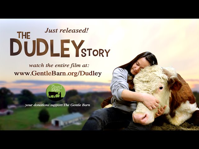 The Gentle Barn: The Dudley Story