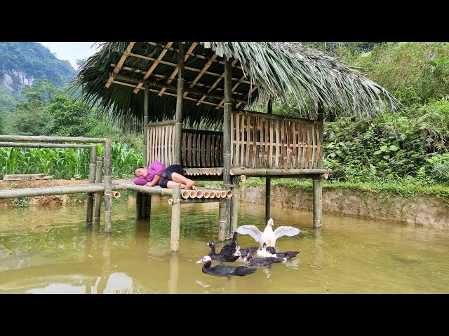7 Days Building Bamboo House on Water Surface, Make a Bridge & Start To Finish | LTC