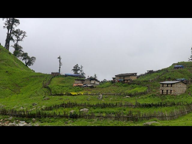 Very Difficult Lifestyle of Nepali Mountain Shepherds || Very Far From Civilization || IamSuman