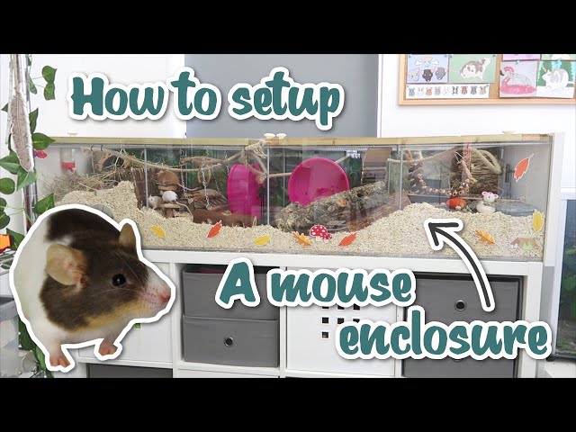 How to setup a mouse enclosure