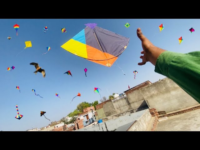 * Kite Looting ki video * | kite looting 🪁😍| kite looting new video #kitecatching #patang