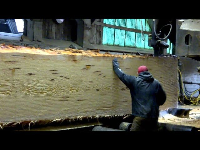 Dangerous Biggest Wood Sawmill Machines Working - Fastest Wood Cutting Chainsaw Machine