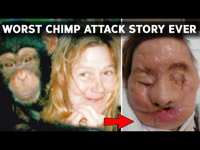 The Most Brutal Chimp Attack Story Ever