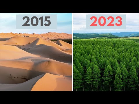 How China Turned DEADLY Desert Into Green Forest | China's Green Wall
